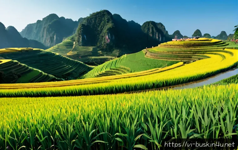 Biểu diễn đường phố như di sản văn hóa: Giá trị cộng đồng, cách bảo tồn và tiêu chí tổ chức 4 거리공연의 문화유산 관련 이미지 2